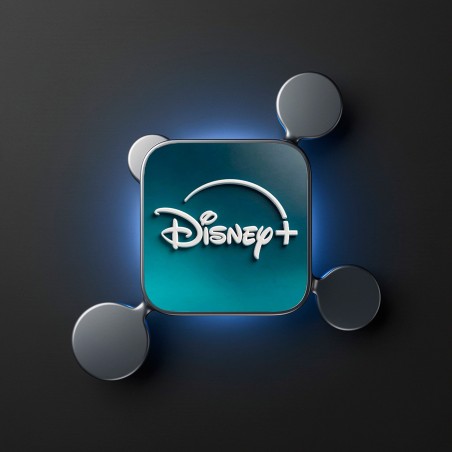 Disney+ Anual